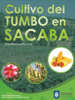Cultivo Tumbo