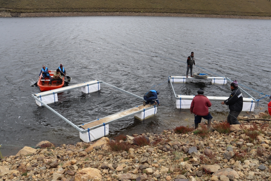 SACABA BUSCA FORTALECER LA PRODUCCI&Oacute;N DE CARNE DE TRUCHA CON LA INSTALACI&Oacute;N DE 30 JAULAS FLOTANTES EN LA LAGUNA RECUPERADA EN AGUIRRE II