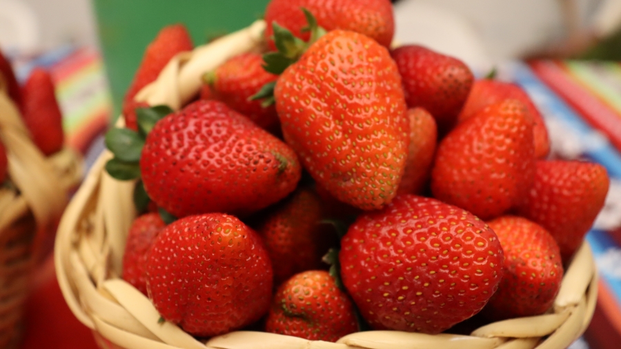 UCUCHI INVITA A DISFRUTAR DE LA FERIA DE LA FRUTILLA Y SUS DERIVADOS ESTE DOMINGO 17 DE DICIEMBRE