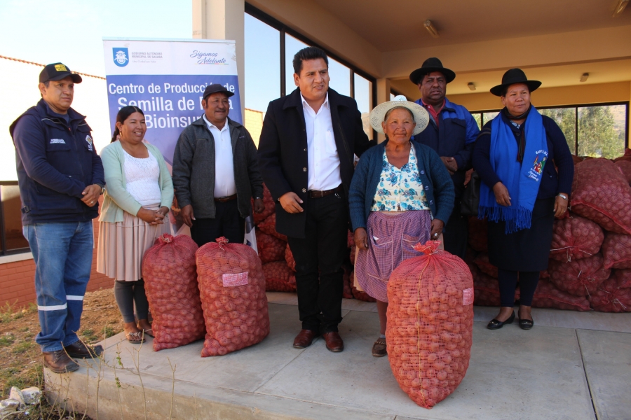 M&Aacute;S DE 160 PRODUCTORES DE TRES DISTRITOS RURALES DE SACABA SE BENEFICIAN CON LA ENTREGA DE SEMILLA DE PAPA CERTIFICADA