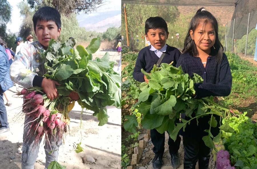 ESTUDIANTES DE SACABA APRENDEN SOBRE EL CUIDADO DE LA TIERRA, EL AGUA Y CULTIVAN SUS PROPIOS ALIMENTOS EN UN HUERTO ESCOLAR
