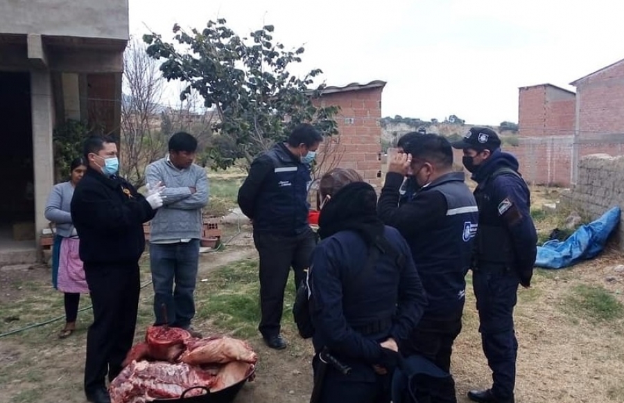 INTENDENCIA DE SACABA DECOMISA M&Aacute;S DE 55 KILOS DE CARNE DE CERDO CON CISTICERCOSIS DE UNA VIVIENDA