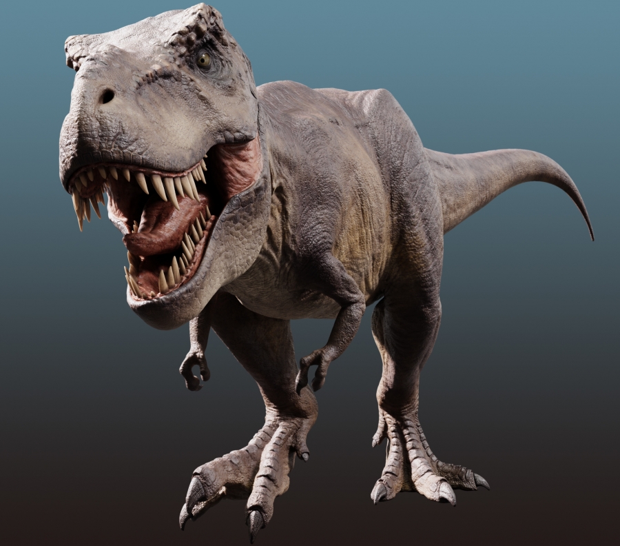 Tyrannosaurus Rex