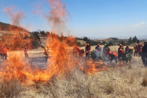 INCENDIOS EN SACABA: BAJAN CANTIDAD DE INCENDIOS Y HECT&Aacute;REAS AFECTADAS EN COMPARACI&Oacute;N AL 2023, SE FORTALECEN ACCIONES DE PREVENCI&Oacute;N