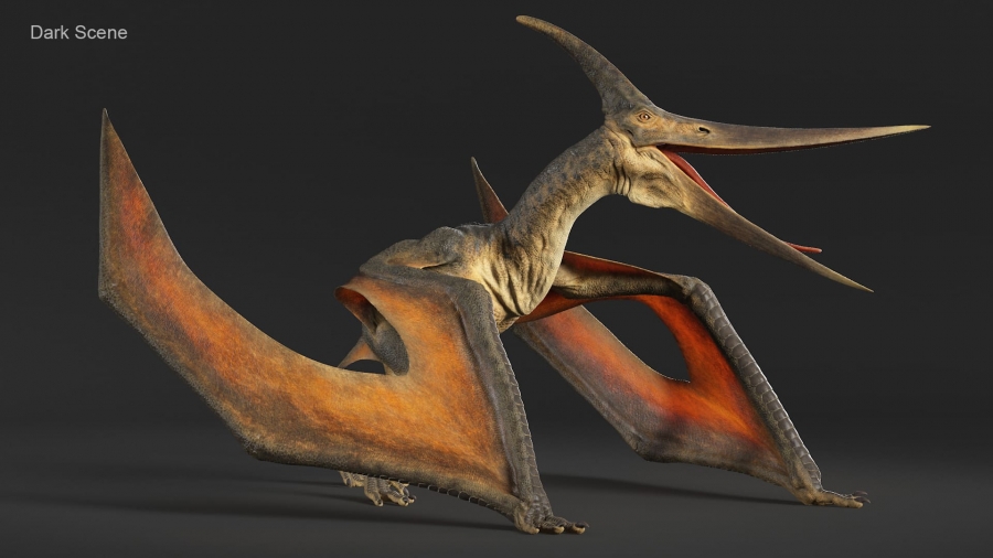 Pteranodon