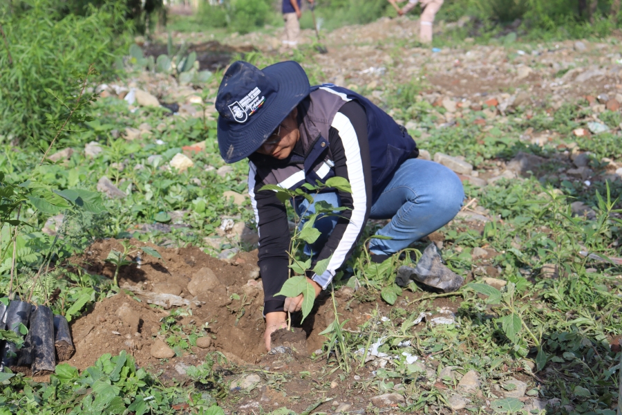 JORNADA DE REFORESTACI&Oacute;N: M&Aacute;S DE 120 PLANTINES DE ESPECIES NATIVAS AYUDAR&Aacute;N A REVERDECER EL PARQUE METROPOLITANO DE AROCAGUA