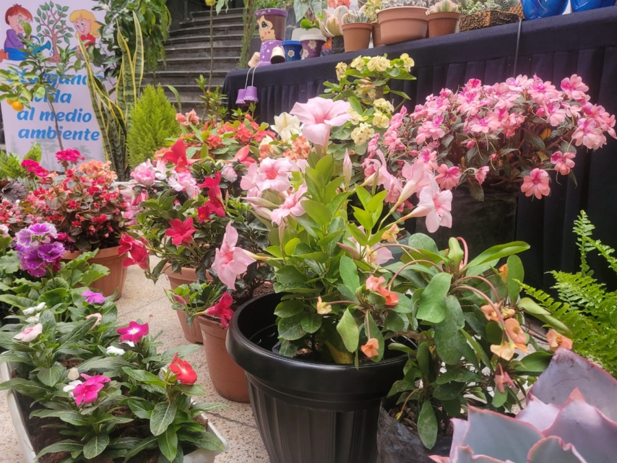 SACABA INVITA A LA FERIA DE LAS FLORES Y LAS PLANTAS EN HOMENAJE AL D&Iacute;A DE LA MADRE