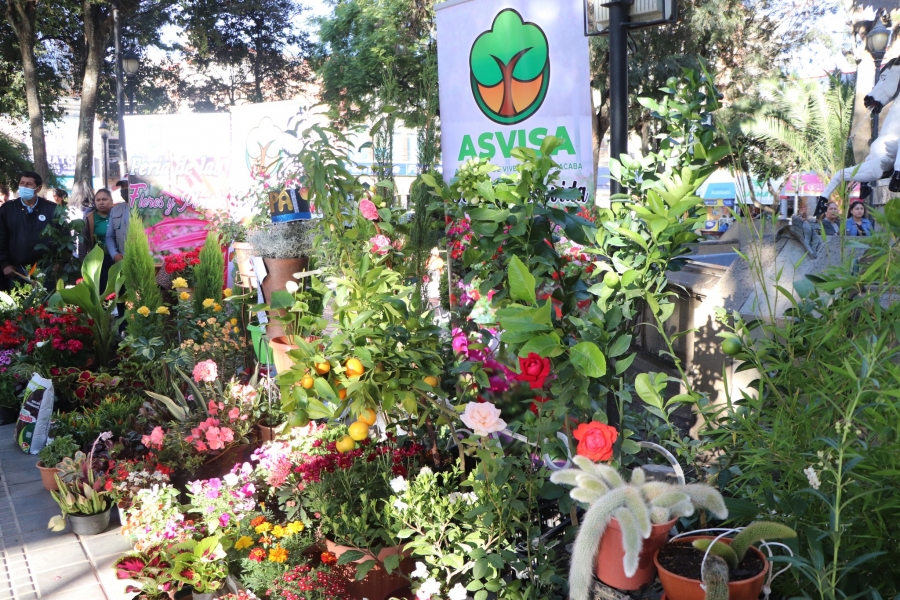 80 EXPOSITORES INVITAN A LA FERIA DE LAS FLORES Y PLANTAS EN SACABA