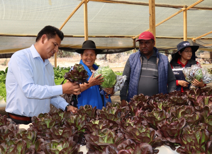 ALCALDE PEDRO GUTI&Eacute;RREZ ENTREG&Oacute; DOS VIVEROS PARA LA PRODUCCI&Oacute;N DE PLANTINES DE HORTALIZAS Y LA ENSE&Ntilde;ANZA DE HIDROPON&Iacute;A PARA LA SOBERAN&Iacute;A ALIMENTARIA