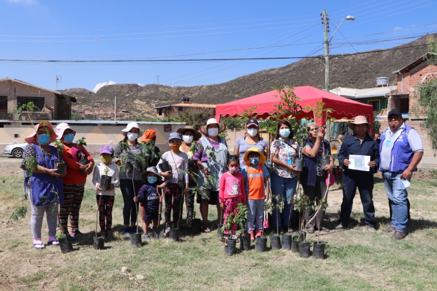 IMPLEMENTAN ESPECIES FORESTALES EN EL DISTRITO 2 PARA RECUPERAR ESPACIOS VERDES