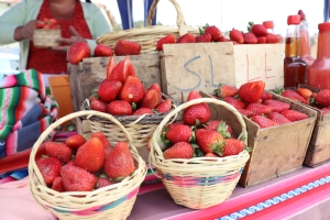 DISTRITO RURAL UCUCHI MOSTR&Oacute; LO MEJOR DE SU PRODUCCI&Oacute;N Y DELEIT&Oacute; A LOS VISITANTES CON LA FERIA DE LA FRUTILLA Y SUS DERIVADOS