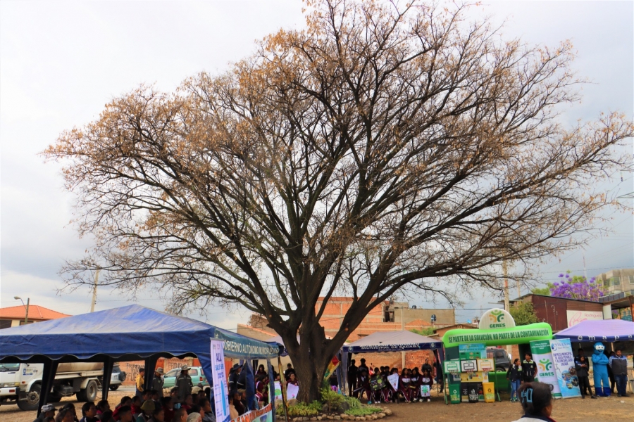 SACABA CONMEMOR&Oacute; EL D&Iacute;A DEL &Aacute;RBOL CON HOMENAJE A EJEMPLAR DE TIPA DE M&Aacute;S DE 45 A&Ntilde;OS Y FORESTACI&Oacute;N