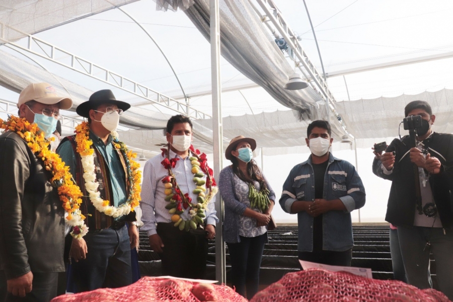 SACABA SE PROYECTA A POTENCIAR LA PRODUCCI&Oacute;N DE LA PAPA