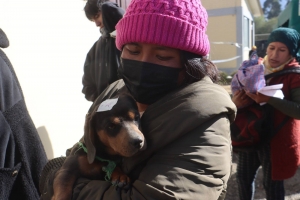 TENENCIA RESPONSABLE: CON &Eacute;XITO SE REALIZ&Oacute; LA CAMPA&Ntilde;A DE ESTERILIZACI&Oacute;N CANINA Y FELINA &ldquo;M&Aacute;S AMOR, MENOS ABANDONO"