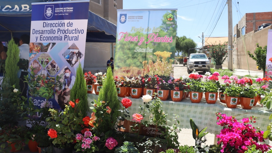 M&Aacute;S DE 90 VIVERISTAS Y EXPOSITORES MUESTRAN LO MEJOR DE SU PRODUCCI&Oacute;N EN LA FERIA DE FLORES Y PLANTAS DE SACABA