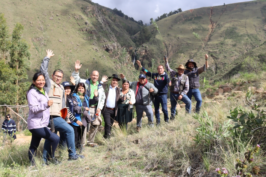 FORESTAN LA ZONA DE MOLINO BLANCO EN SACABA CON 1.500 PLANTINES DE ESPECIES NATIVAS