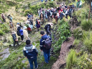 JORNADA DE REFORESTACI&Oacute;N EN UCUCHI FORTALECE ACCIONES AMBIENTALES EN SACABA