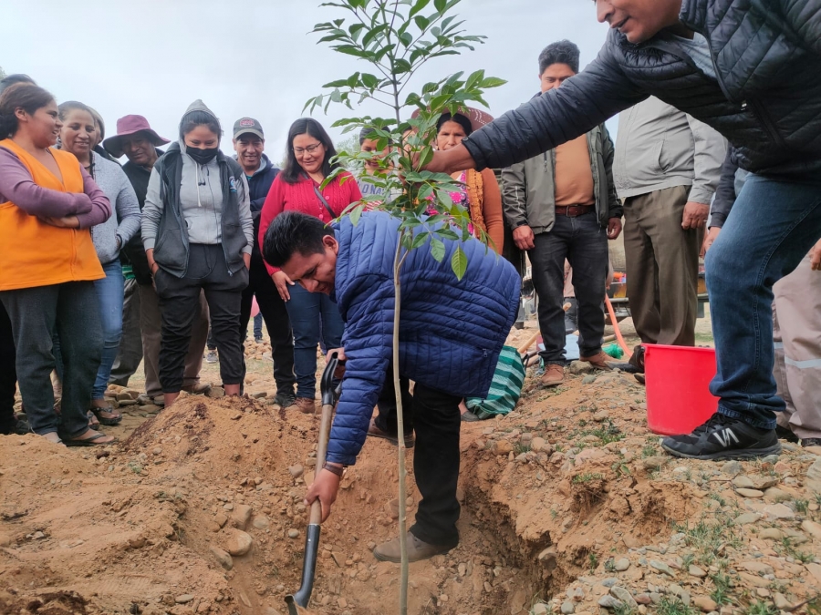 ALCALDE PEDRO GUTI&Eacute;RREZ Y VECINOS DE LA OTB ENTRE R&Iacute;OS DE HUAYLLANI REFORESTAN FRANJA DE SEGURIDAD DEL R&Iacute;O ROCHA CON 800 PLANTINES